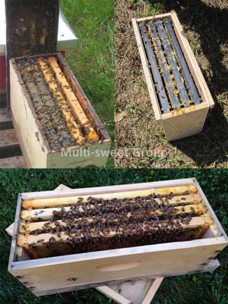 Bee Hive Equipment Queen Rearing Nuc Box Langstroth Beehive