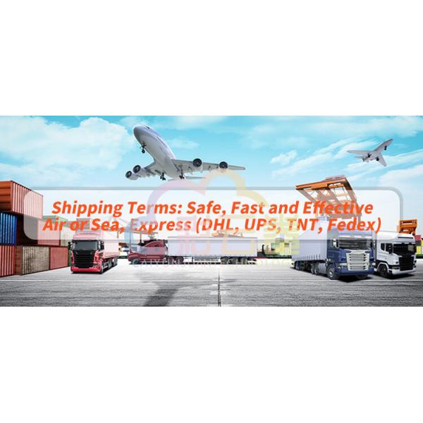 6800W Máquina expendedora de pizza de máxima potencia Costo para la eficiencia máxima Rango de temperatura 392-932 grados Fahrenheit