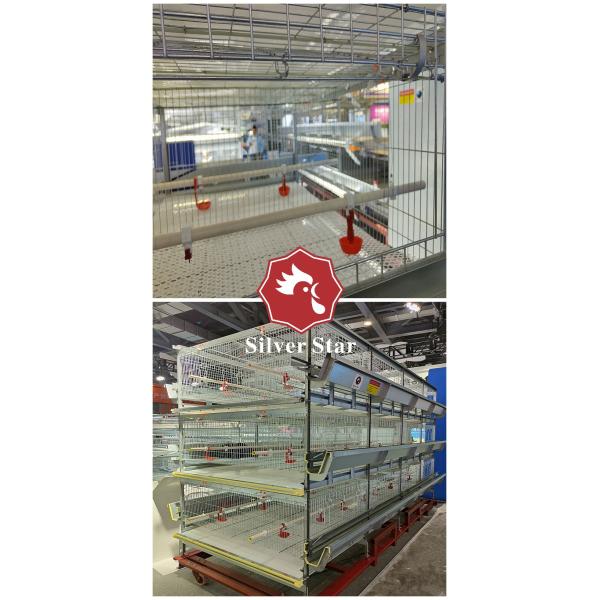 Птицеферма Q235 3 - бройлер клетки цыпленка батареи 4Tier разводя пользу