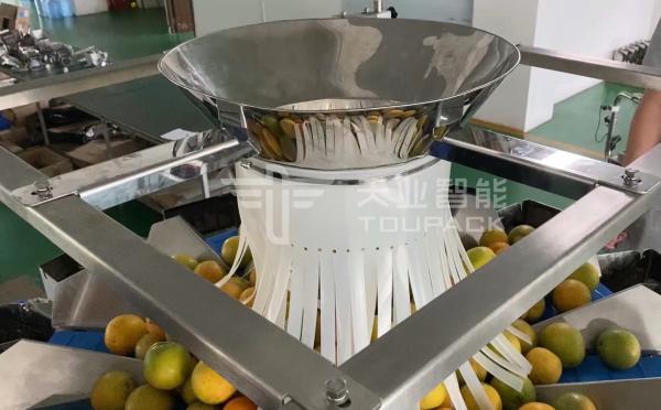 14 Head Multihead MCU/PLC Weigher Packing Machine For Weiging Fruits Oranges