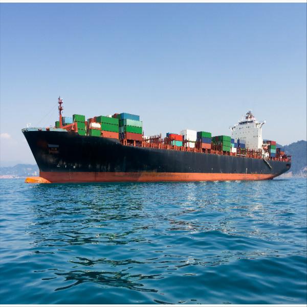 Container International Sea Freight Shipping Prices To Usa Logistic Company China Forwarder