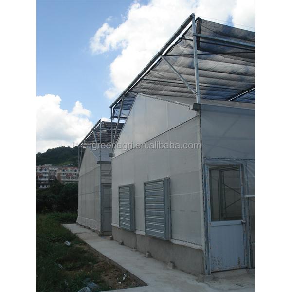 WL108Y Large IGreen Polycarbonate Panels Customized Length for Greenhouse