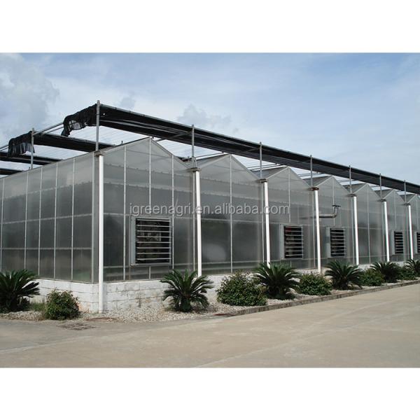 WL108Y Large IGreen Polycarbonate Panels Customized Length for Greenhouse