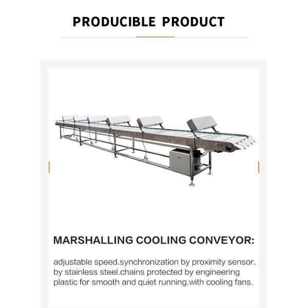 Коммерчески печь электрическая выстраивая охлаждая установка поля транспортера