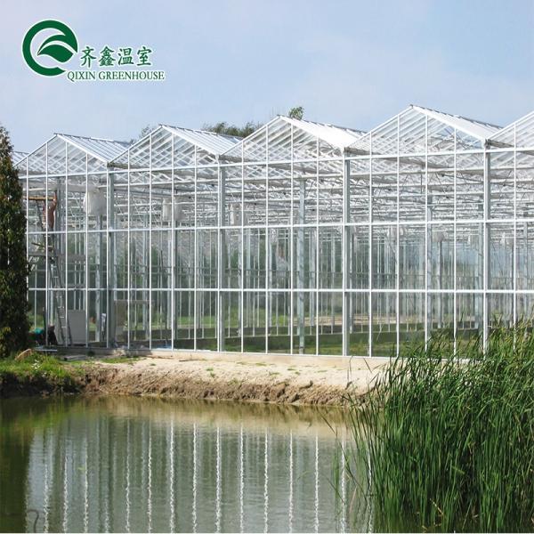 Multi-Span Agricultural Greenhouses Top Covering with Tempered Glass or PC Sheet