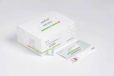 5-200mg/L Serum Amyloid A CRP Rapid Test Kit 3 Minutes Infantile Infection