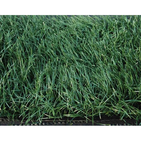 140 puntos de sutura/m2 Césped artificial para deportes sintéticos con 32 mm de altura para jardinería y jardinería