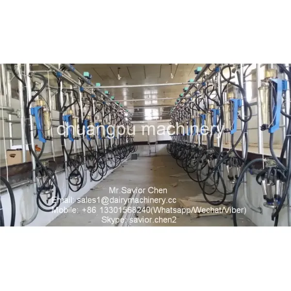 Herringbone Milking Parlor with 380V/50Hz Power and CE ISO SGS FDA Certification for Dairy Cows