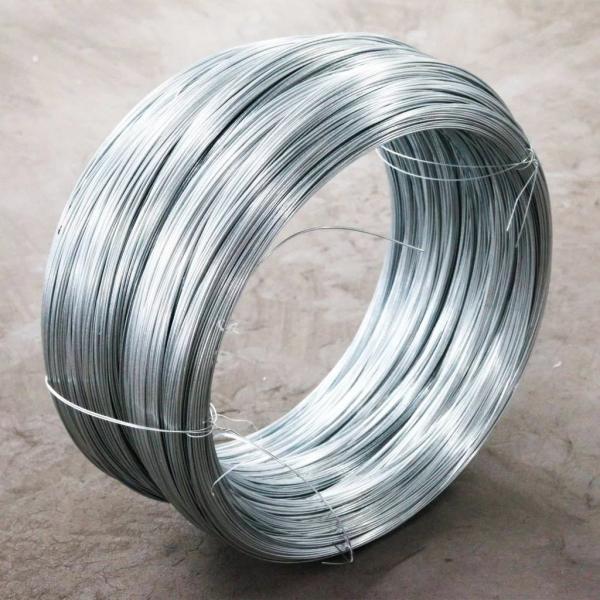 Certificat Fil en acier inoxydable 304 AISI Clôture électrique 6 mm