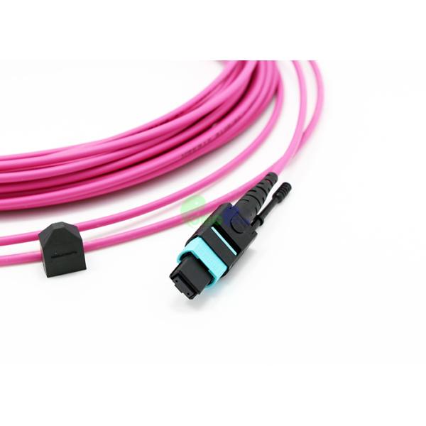 Женщина кабеля OM4 12F 3.0mm MTP хобота MTP 50/125μm с курткой мадженты LSZH платы нажима/тяги