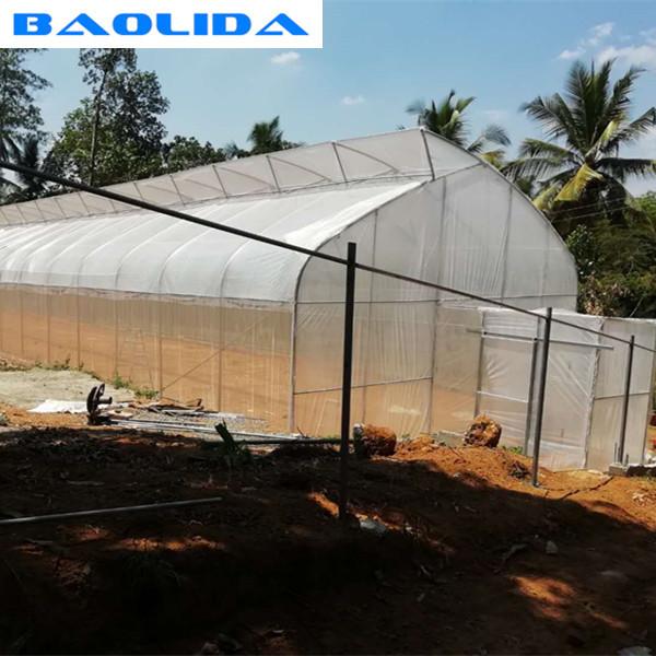 Tropical Saw Tooth Polythene Grow Tunnel Roof Ventilation 200 Micron PE Film