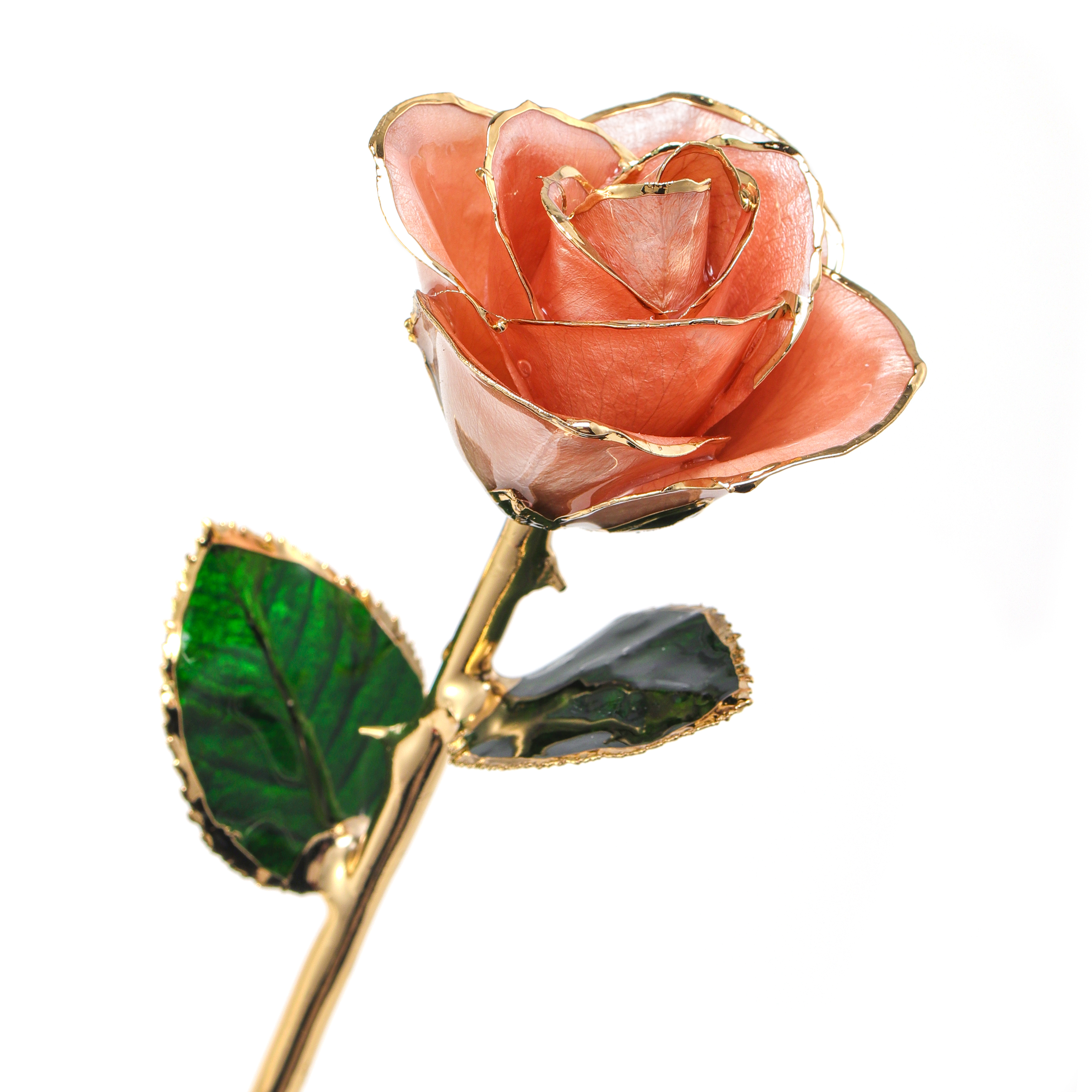 24k Gold Plated  Rose  Preserved Fresh Flower  Wholesale Preserved Rose Manufacture Directly Supply