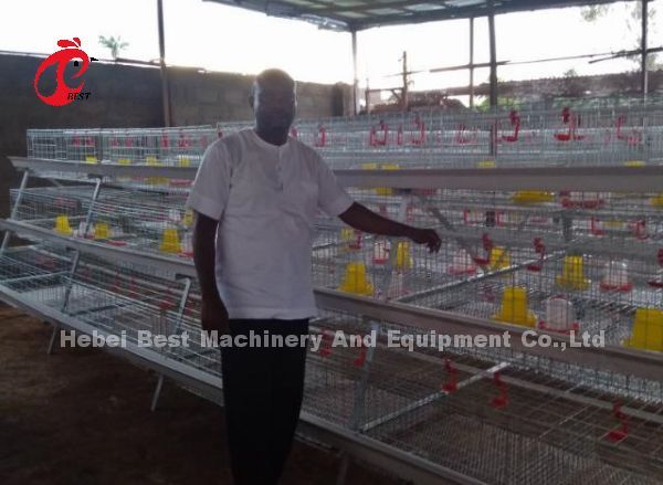 Save Space Poultry Broiler Chicken Cage Low Carbon Steel Wire In Africa  Adela