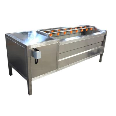 Onion Peeling Machine PLC 2000kg/H Ginger Garlic Skin Peeling Machine