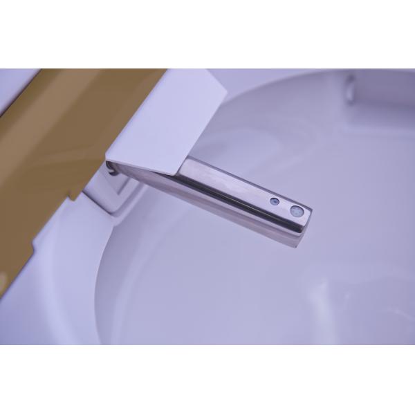 Electric Intelligent One Piece Toilet , Automatic  Washing smart one piece toilet
