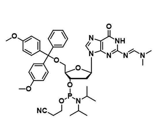 RNA DNA Synthesis Phosphoramidite 5g/bottle A G C T Phosphoramidites