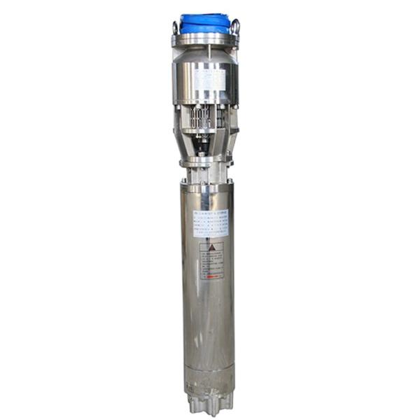 Stainless Steel Submersible Pump / Electric Submersible Pump For Agricultural Irrigation