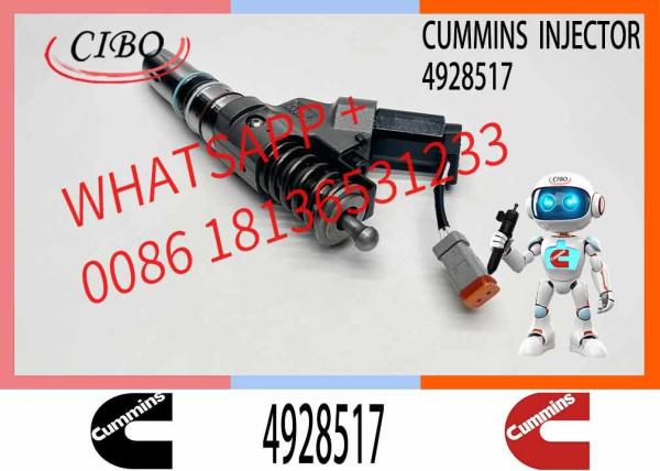 Engineering Machinery M11 Truck Engine System Accessories 4928517 Diesel Fuel Injector