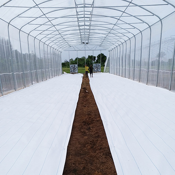 Natural Cooling Plastic Green House Made By Galvanized Pipes No Welding Design