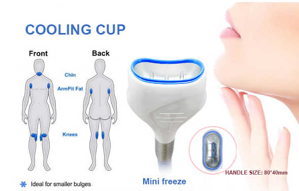 5 Size Handle Portable Cryolipolysis Machine For Salon Use