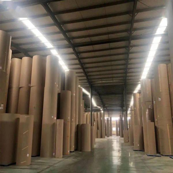 OEM Kraft Masking Paper 70g 400m Brown Paper 250 Gsm Kraft Roll Papers