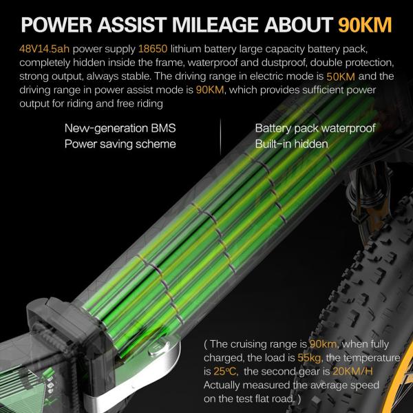 Lankelsisi X3000Plus 20 Inch Fat Tire Electric Bike 1000W 13AH