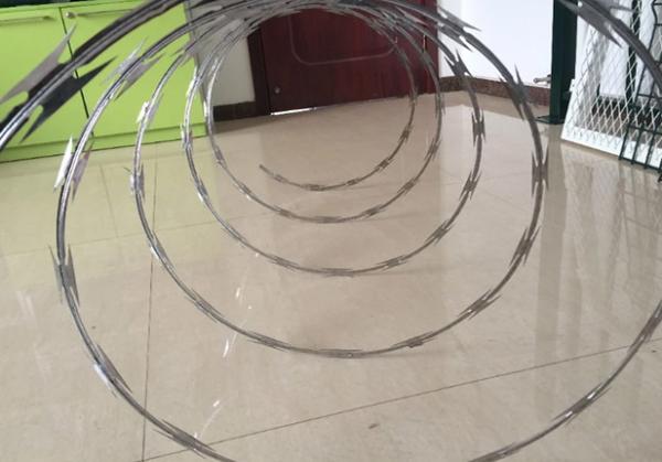 Concertina Razor Wire Hot Dipped Galvanized Cross Barbed Wire Top sales