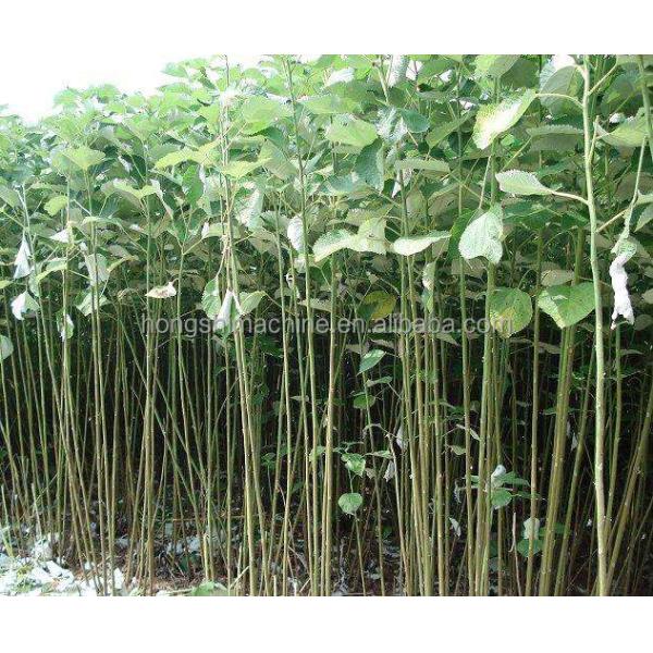Farmer Hemp Jute Peeling Machine , Ramie Sisal Fiber Extraction Machine