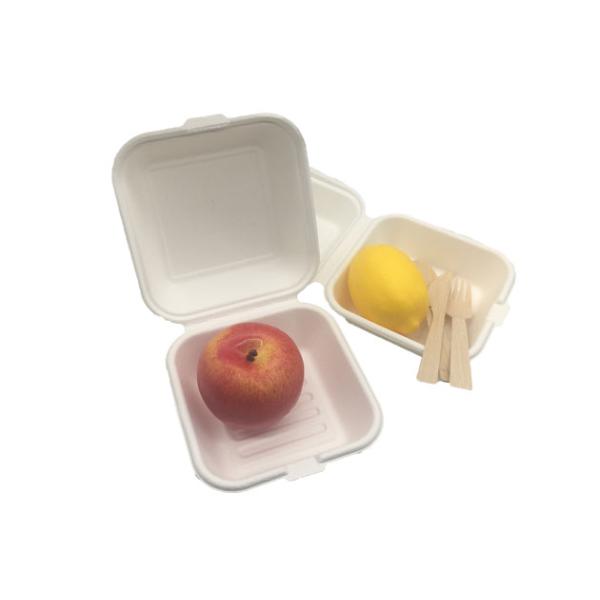 6×6 Inch 530ml 20g Biodegradable Food Boxes