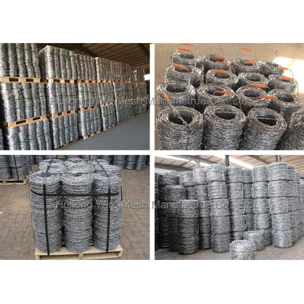 Hot Dipped Galvanised barbed wire for security defence