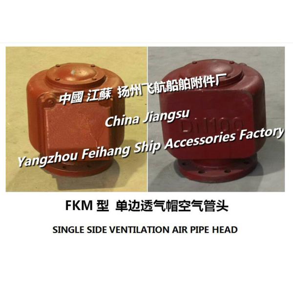 CB/T3594-1994 single side venting air pipe head, FKM type float air pipe head