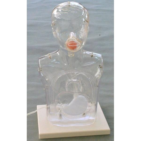 Multifunctional Child Transparent Nursing Manikin for Nasal Feeding and Gastric Lavage