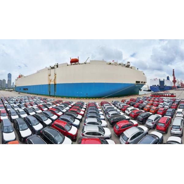 From China To New Zealand Roll On Roll Off Vehicle Shipping / Roro Shipping Services