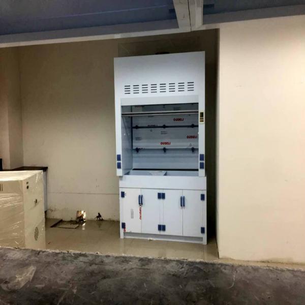 Lab Furniture Fume Extraction Arm Polypropylene Fume Hood for Harmful Gas Removal