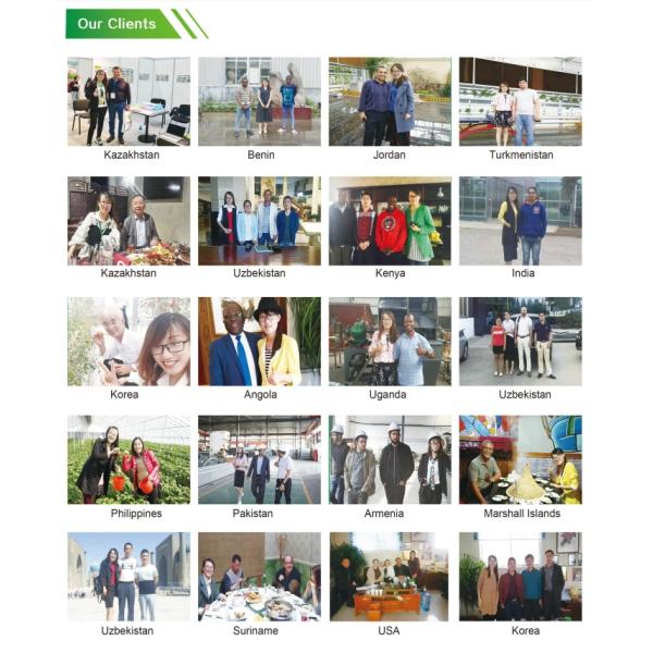 Вентилятор выхлопного газа для птицеводческой фермы