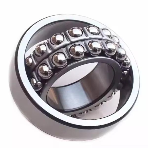 Good Performance Self Aligning Ball Bearing 2202TNI Bearing