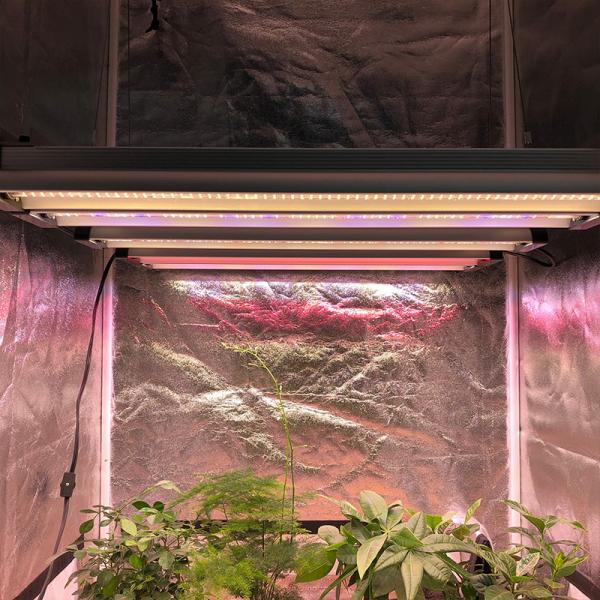 O diodo emissor de luz de RedFarm 40w 2.5ft Veg cresce as plantas vegetais da plântula da exploração agrícola vertical clara