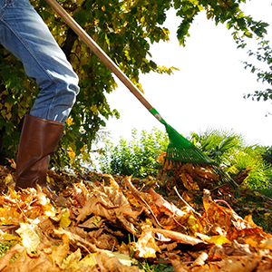 100% Biodegradable Disposable Compostable Garbage Bag, Biodegradable Kitchen Bin Liner Compostable Flat Trash Bag On Rol