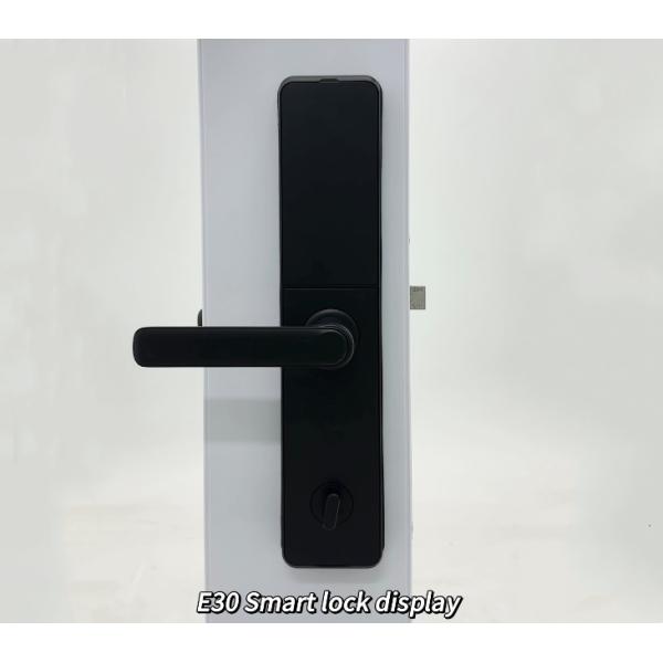 Tuya Ttlock Биометрический умный дверной замок Tuya TTlock Безопасный Wi-Fi цифровой умный дверной замок