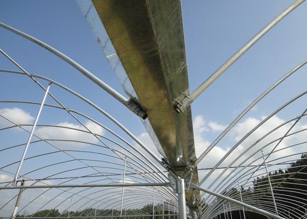 Insectproof Multi Span Greenhouse Sunshading Net For Flower Growing