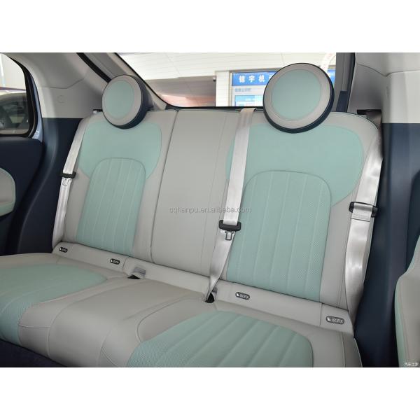 Experience the Future of Driving Ballet Cat Mini EV 5-door 5-seat Hatchback for Women