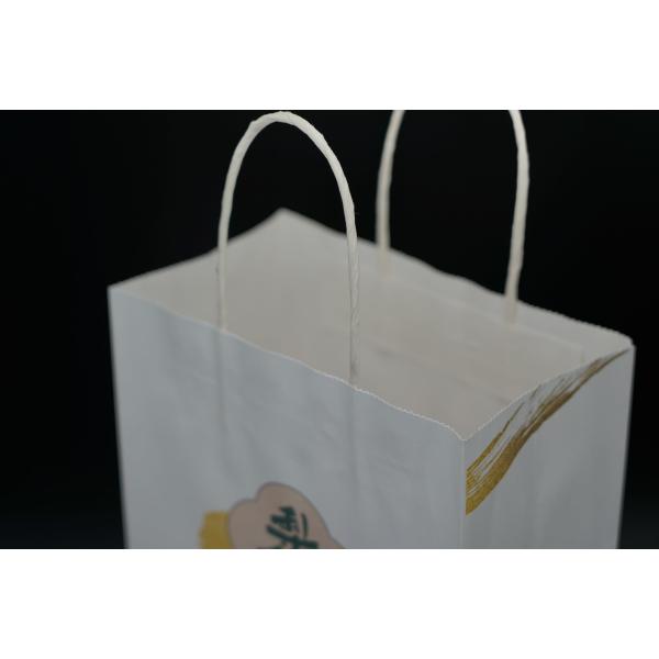 Industry Eco Paper Bags Multi Purpose White Kraft Eco Craft Bags Recyclable