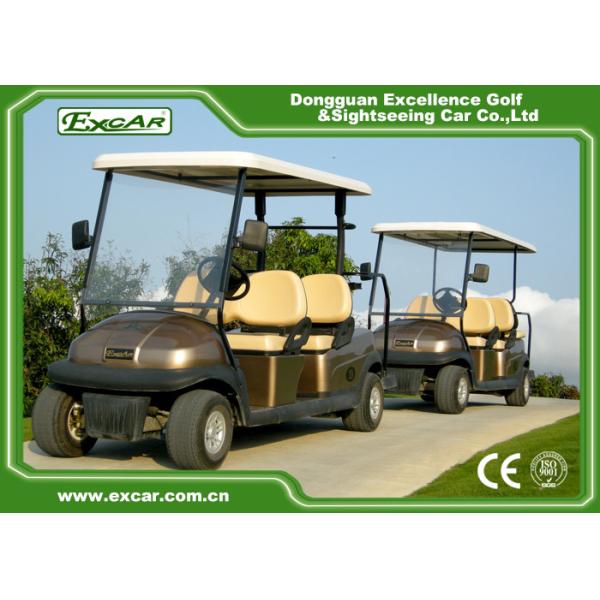 6 boguets séparément motorisés avec des erreurs de golf de couleur de Brown de