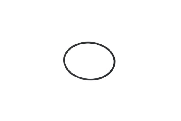 Ring magnet