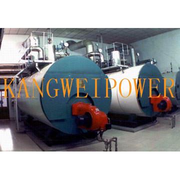Industry Biomass Coal Fired Steam Boilers Double Drum Chain Grate Combustion