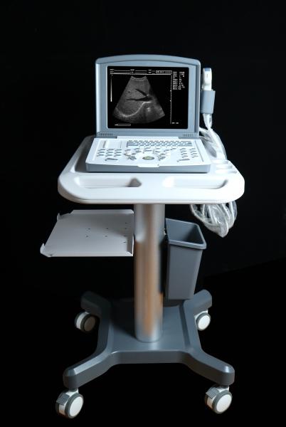 OEM opcional da máquina 4D do varredor do ultrassom do trole de Doppler da cor