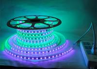 Tira de alta tensão endereçável da C.A. 110V/220V com a fita de mudança da cor de 5050 60leds RGB