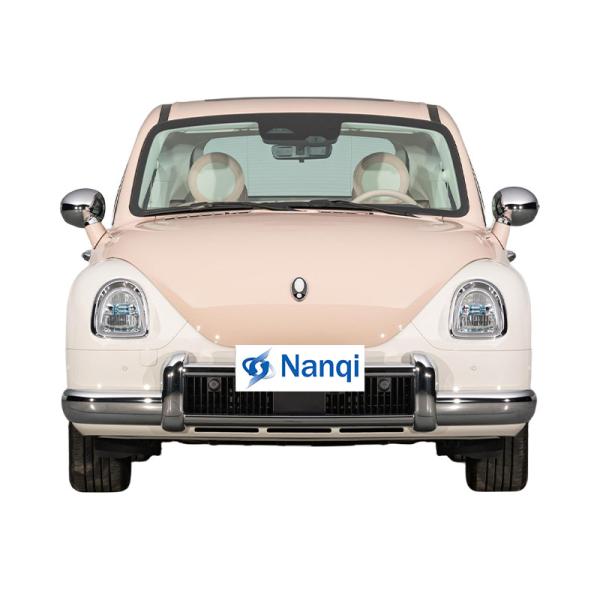 ORA Ballet Cat 500 km Veículo elétrico puro 5 portas 5 lugares hatchback
