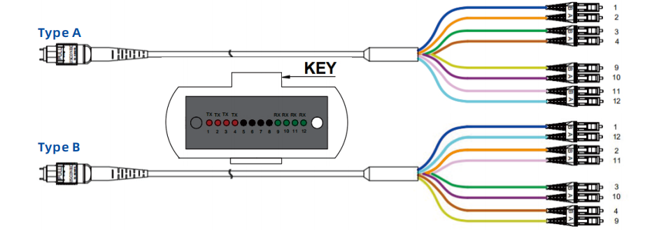 Low Loss CPR B2ca 40G 50/125 OM4 Multimode MTP MPO Breakout Fiber Patch Cable