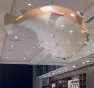 Inflatable Remote Control Air Film Whale And Dolphin Models For Mall Opening Events